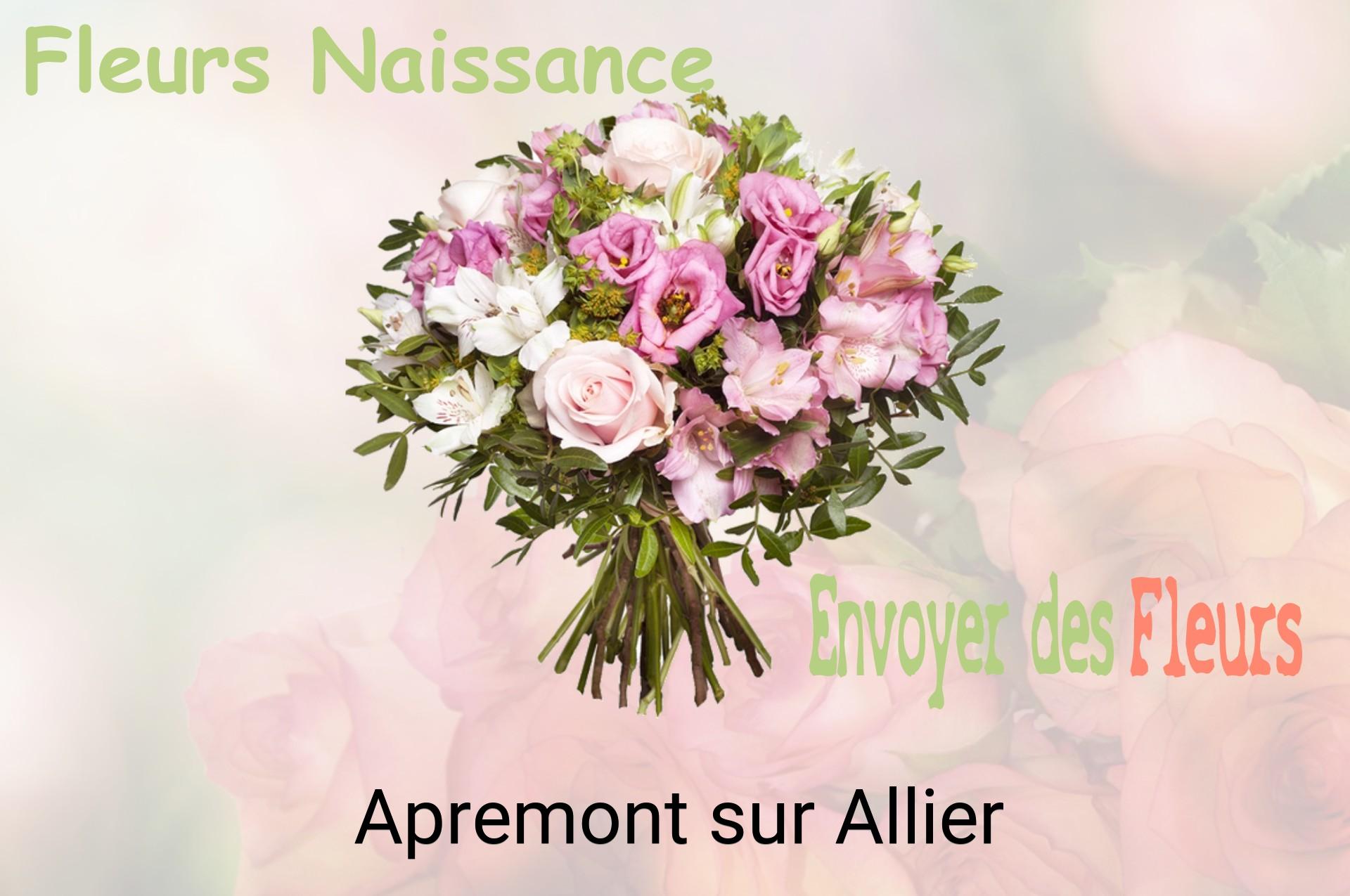 Bouquet de fleurs de naissance livré à Apremont-sur-Allier